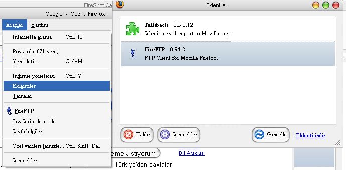 Firefox Eklentisi FireShot