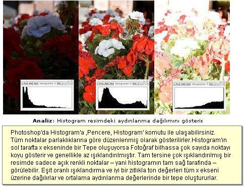 Histogram, Info, Layer Comps