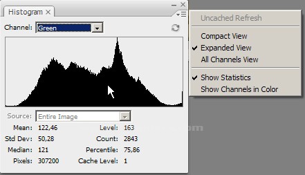 Histogram, Info, Layer Comps