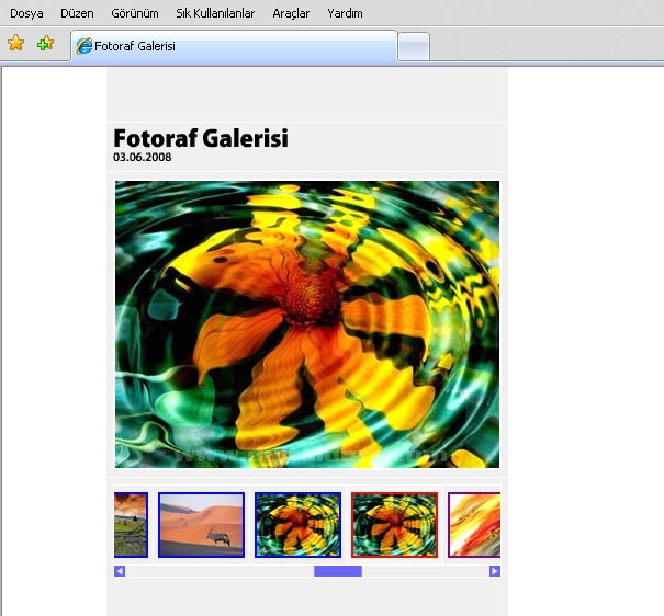 Automate menüsünden Web Photo Galery