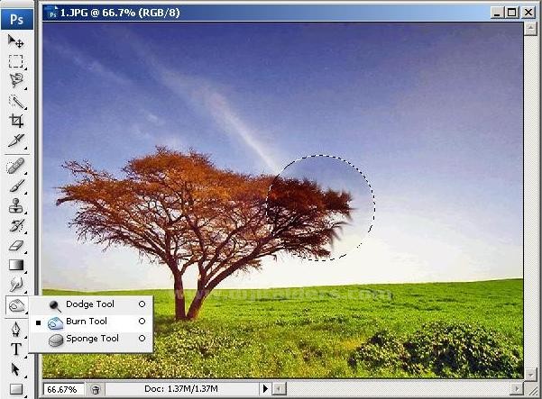 Blur Tool, Sharpen Tool ve Smudge Tool