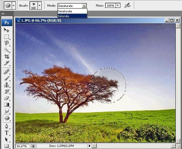 Blur Tool, Sharpen Tool ve Smudge Tool