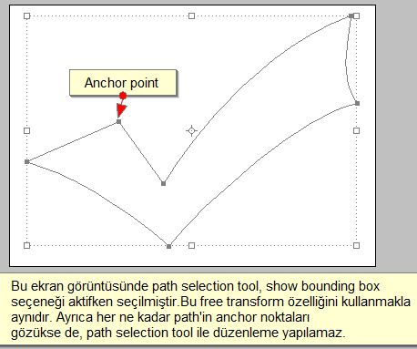 Photoshop Path  Direct Selection Tool