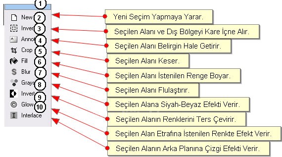 FireFox FireShot ali iletir