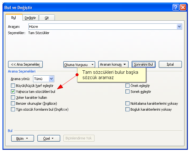 Office 2007 Bul Değiştir Git Menüsü