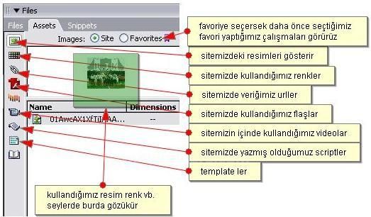 edit .arka palan resim ekleme