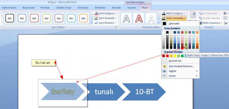 Office 2007smart Art