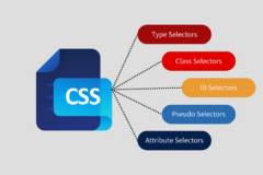 CSS Seçicileri