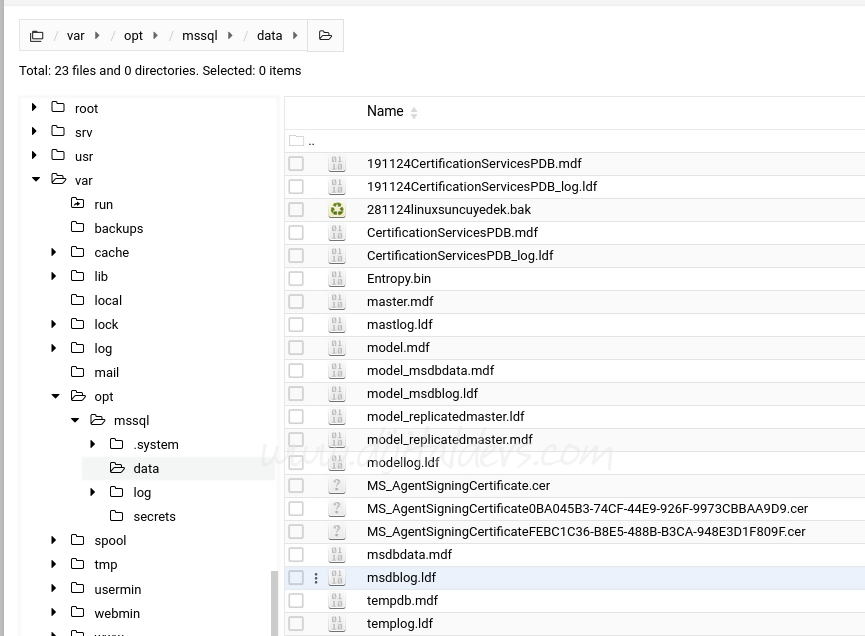 Debian 12'ye Microsoft SQL Server Nasıl Kurulur?