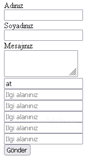 Sayfadaki Formlara Erişim