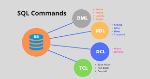 Sql Komutları